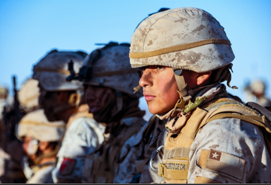 La Lealtad armamente